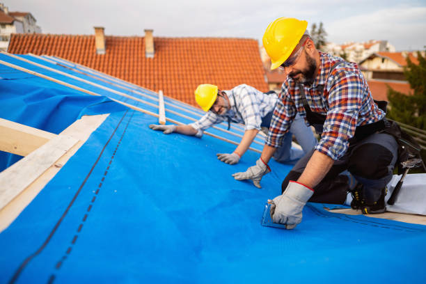 Best Roof Gutter Cleaning  in Sharon, WI