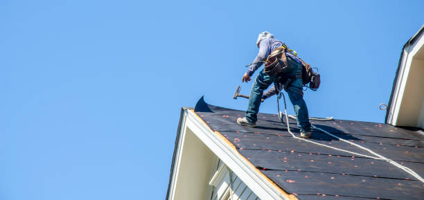 Best Roof Repair Services  in Sharon, WI